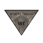 wildlife returns